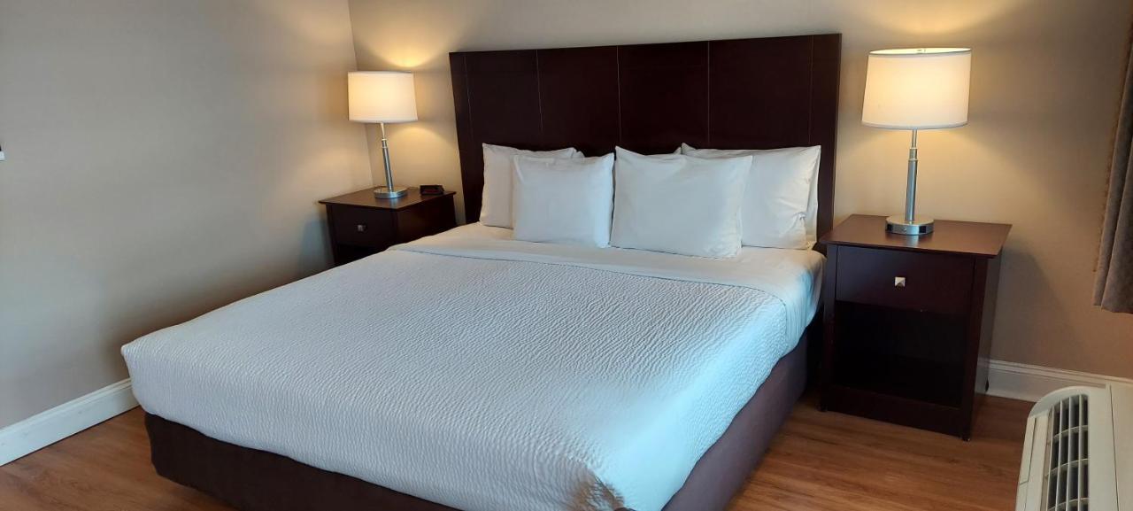 Yankee Clipper Motel Belfast Kültér fotó